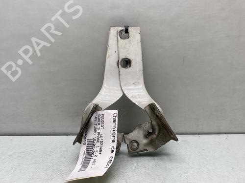 Used Hinge/Door check strap PEUGEOT BOXER Van 2.2 HDi 120 (120 hp) 29841800