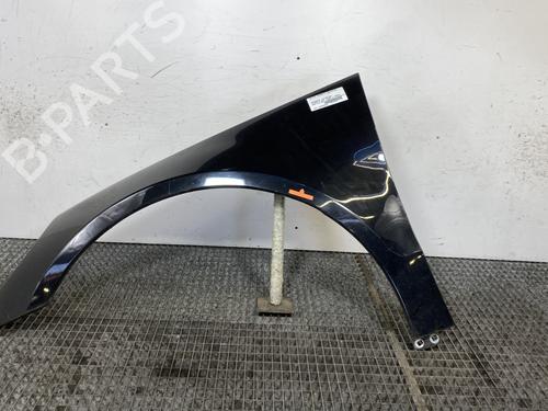 Used Left front fenders MERCEDES-BENZ R-CLASS (W251, V251) R 280 CDI 4-matic (251.020) (190 hp) 24815754