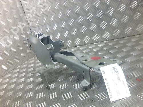 Used Hinge/Door check strap RENAULT SCÉNIC III (JZ0/1_) 2.0 dCi (JZ0Y, JZ26) (150 hp) 26212855