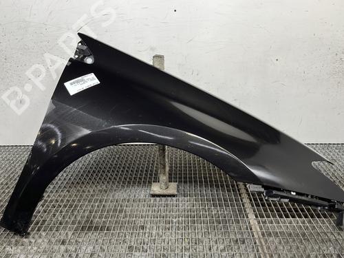 Used Right front fenders RENAULT LAGUNA III (BT0/1) 2.0 dCi (BT01, BT08, BT09, BT0E, BT0K, BT12, BT1C, BT1D,... (150 hp) 29006614