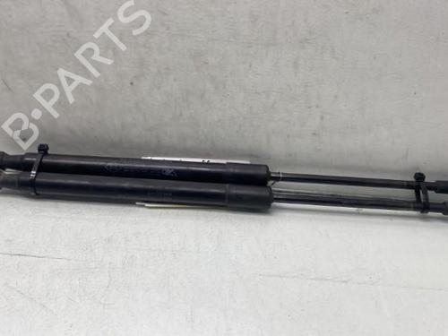 Tailgate lift support DACIA DUSTER (HS_) 1.2 TCe 125 | BP19989987C138 