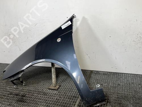 Left front fenders FIAT PUNTO (188_) 1.2 60 (188.030, .050, .130, .150, .230, .250) | BP30059796C41