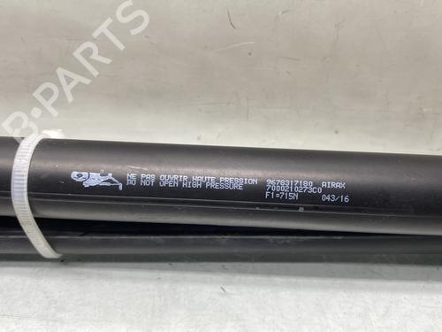 Tailgate lift support PEUGEOT 2008 I (CU_) 1.2 VTi | BP29897603C138