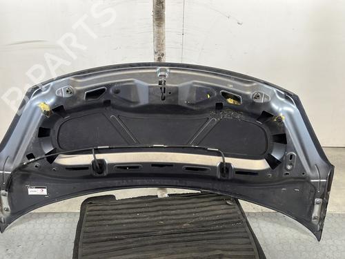 hood-citroen-ds3-sa_-2009-2010-2011-2012-2013-2014-2015-2016-24443049 main image