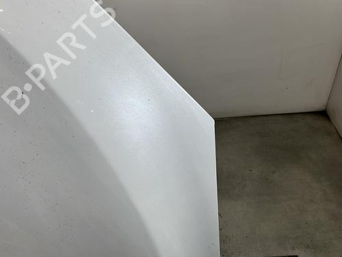 Hood RENAULT MEGANE III Coupe (DZ0/1_) 1.6 dCi (DZ00, DZ12, DZ2A, DZ13) | BP30720017C1