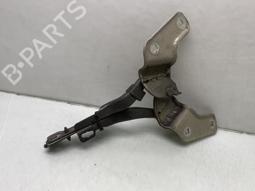 Hinge/Door check strap RENAULT CLIO III (BR0/1, CR0/1) 1.5 dCi (C/BR0G, C/BR1G) | BP24428453C146 