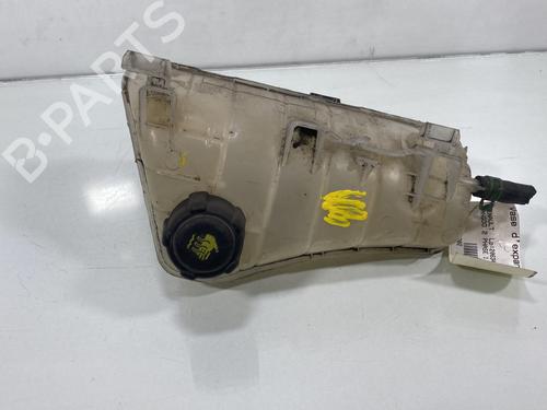 Used Expansion tank RENAULT KANGOO Express (FW0/1_) [2008-2025]  19995553