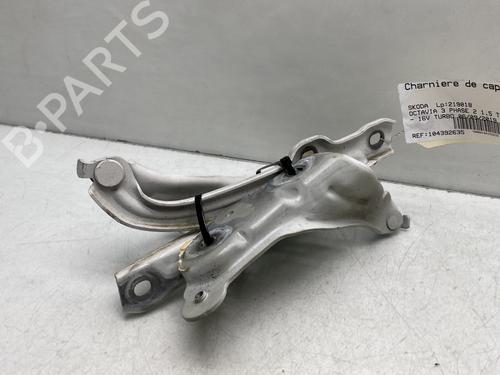 Hinge/Door check strap SKODA OCTAVIA III (5E3, NL3, NR3) 1.5 TSI | BP26715340C146 