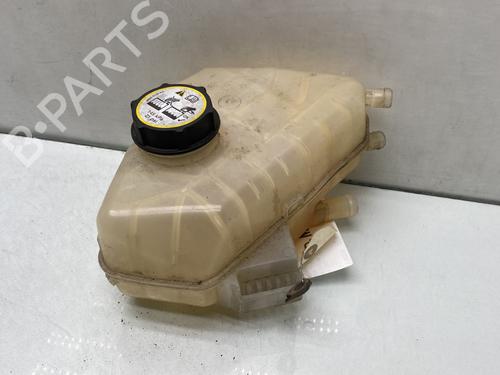 Used Expansion tank FORD FIESTA VI (CB1, CCN) 1.25 (82 hp) 30203927