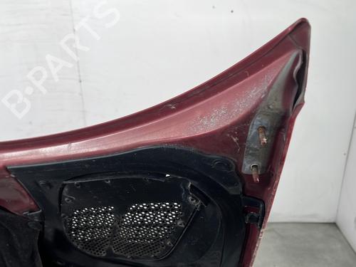 Hood PEUGEOT 206 Hatchback (2A/C) 2.0 HDI 90 | BP28192527C1 