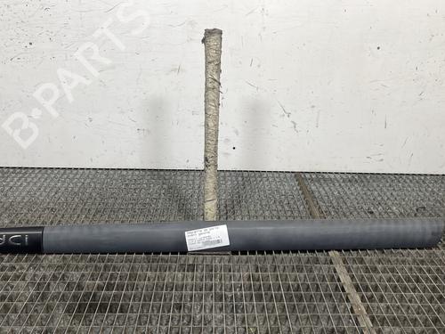 Used Door moulding trim RENAULT CLIO II (BB_, CB_) 1.5 dCi (B/C2J) (68 hp) 30362694