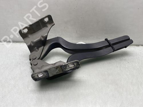 Hinge/Door check strap NISSAN QASHQAI / QASHQAI +2 I (J10, NJ10, JJ10E) 1.6 dCi | BP23765917C146 