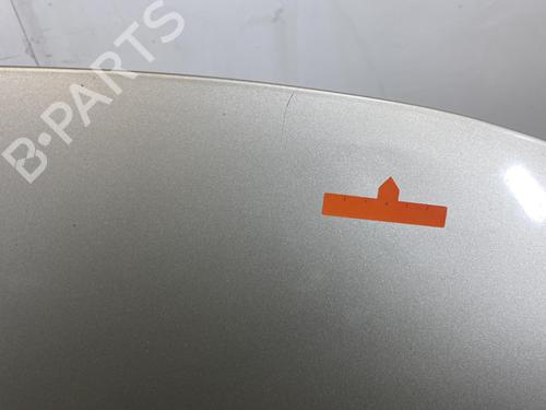 Hood RENAULT SCÉNIC III (JZ0/1_) 1.9 dCi (JZ0J, JZ1J, JZ1K, JZ1S) | BP21959620C1