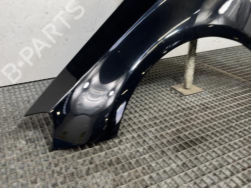 Kotflügel links vorne MERCEDES-BENZ A-CLASS (W176) A 200 CDI / d (176.008) | BP30791006C41 