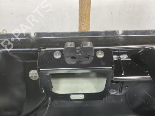 Used Tailgate Tailgate 21955694 21955694