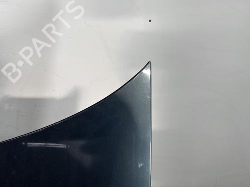 Hood VW POLO IV (9N_, 9A_) 1.4 TDI | BP29119632C1 