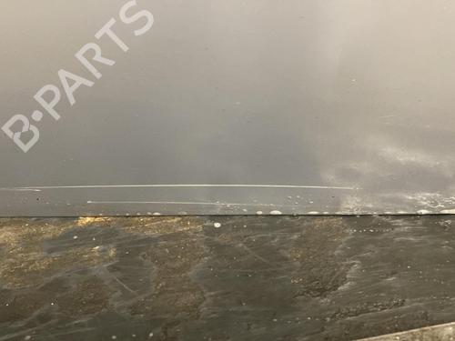 Left front door RENAULT MEGANE II (BM0/1_, CM0/1_)  | BP21956543C2 