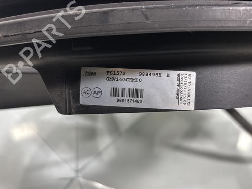 Radiator fan PEUGEOT 307 (3A/C) 2.0 HDi 90 | BP21957004M35