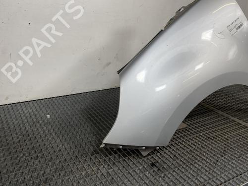 Left front fenders RENAULT SCÉNIC III (JZ0/1_) 1.5 dCi | BP19962307C41