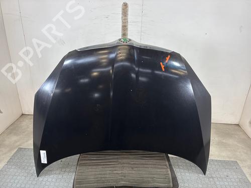 hood-skoda-fabia-ii-542-2006-2007-2008-2009-2010-2011-2012-2013-2014-36550174 main image