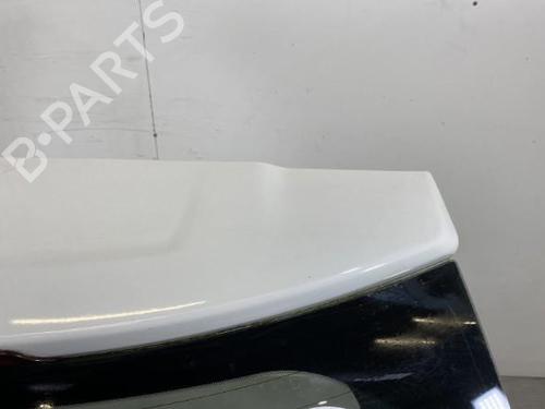Tailgate CITROËN C3 I (FC_, FN_)  | BP21960970C6 