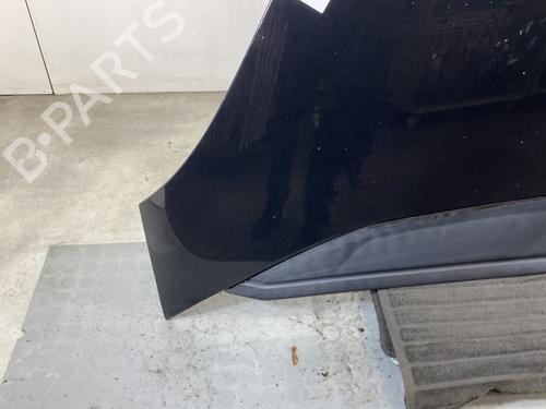 Hood CITROËN C4 Picasso I MPV (UD_) 2.0 HDi 138 | BP23769910C1 