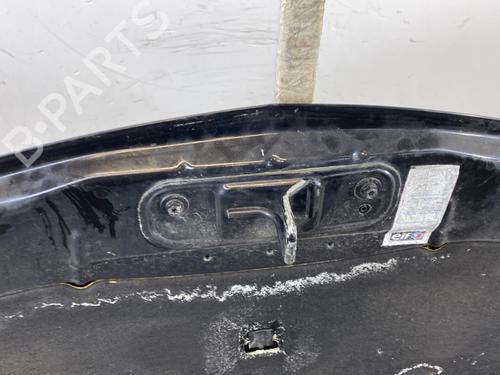 Hood RENAULT CLIO III (BR0/1, CR0/1) 1.5 dCi | BP26236419C1 