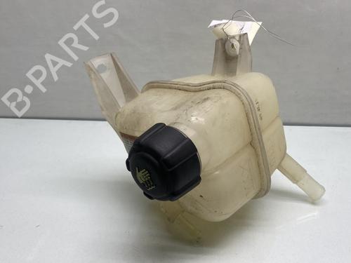 Used Expansion tank RENAULT KOLEOS I (HY_) 2.0 dCi (HY0K) (150 hp) 26506968