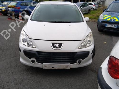 Left rear door PEUGEOT 307 (3A/C) 1.6 HDi | BP20009279C4 