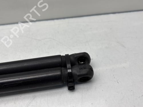 Tailgate lift support FIAT QUBO (225_) 1.4 (225AXA1A) | BP29897404C138