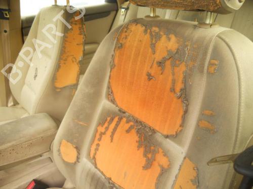- Image 8