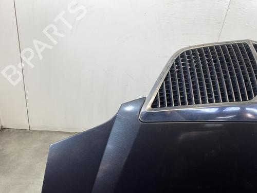 Hood LANCIA PHEDRA (179_) 2.0 D Multijet (179.AXL1B, 179.BXL1B) | BP21485909C1 