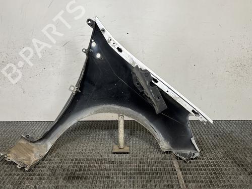 Left front fenders RENAULT CLIO III (BR0/1, CR0/1) 1.5 dCi | BP30176880C41