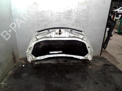 Panser RENAULT ESPACE IV (JK0/1_) 1.9 dCi (JK0U) (116 hp) 19981290