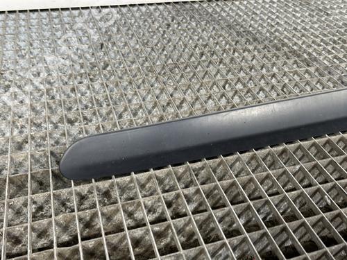 Door moulding trim PEUGEOT 308 I (4A_, 4C_) 1.6 HDi | BP28441650C150