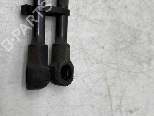 Tailgate lift support SEAT ALTEA (5P1)  | BP20022619C138 