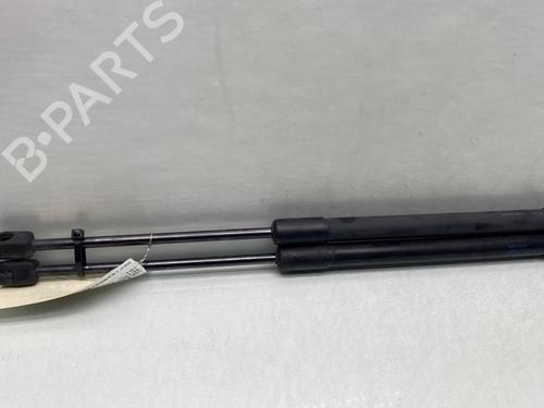 Tailgate lift support VW SCIROCCO III (137, 138) 2.0 TDI | BP20660088C138 