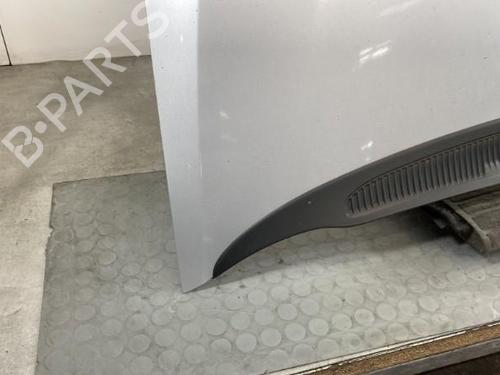 Used Hood Hood FORD C-MAX (DM2) 1.6 TDCi (90 hp) 21963332 21963332