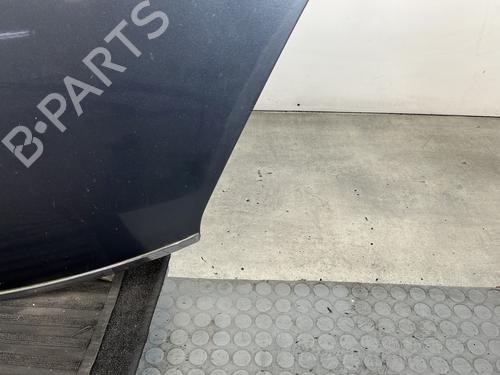 Hood CITROËN C4 Grand Picasso I (UA_) 2.0 HDi 150 | BP29886905C1