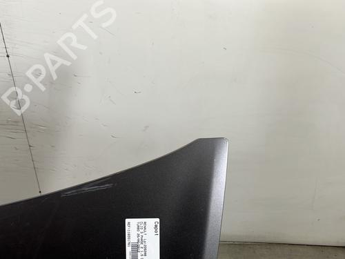 Hood RENAULT CLIO III (BR0/1, CR0/1) 1.5 dCi (C/BR0G, C/BR1G) | BP30720029C1