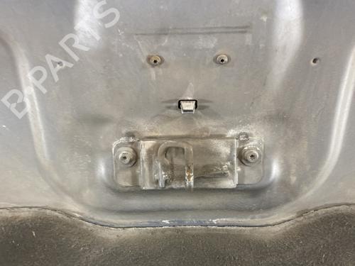 Used Hood Hood RENAULT LAGUNA III (BT0/1) 2.0 dCi (BT01, BT08, BT09, BT0E, BT0K, BT12, BT1C, BT1D,... (150 hp) 25473883 25473883