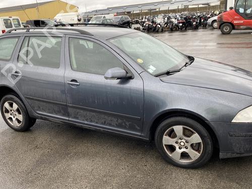 Right rear door SKODA OCTAVIA II Combi (1Z5) 1.9 TDI | BP29425584C5 