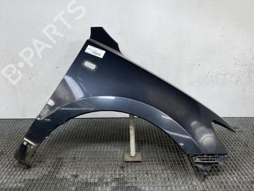 Left front fenders HYUNDAI SANTA FÉ II (CM) 2.2 CRDi | BP19960524C41 