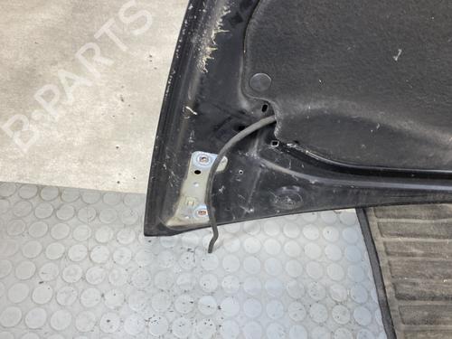 Hood RENAULT CLIO III (BR0/1, CR0/1) 1.5 dCi | BP26236419C1 