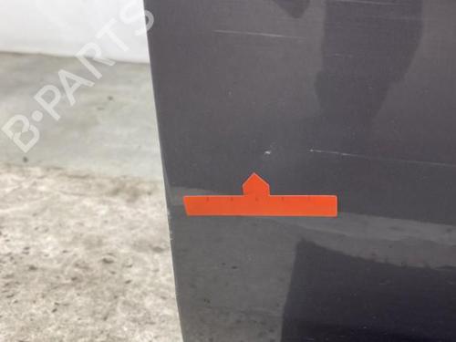 Used Right front door RENAULT SCÉNIC II (JM0/1_) [2003-2010]  21961714
