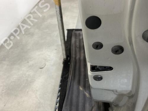 Right front door SKODA FABIA II (542) 1.2 | BP20184091C3 