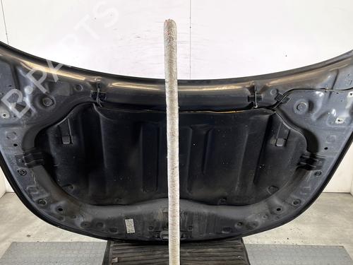 hood-renault-latitude-l70_-2010-30698590 main image