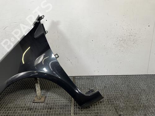 Left front fenders RENAULT CLIO III (BR0/1, CR0/1) 1.5 dCi (C/BR0G, C/BR1G) | BP30168992C41 