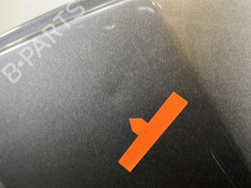 Left rear door RENAULT CLIO III (BR0/1, CR0/1) 1.5 dCi (C/BR0G, C/BR1G) | BP30731086C4 