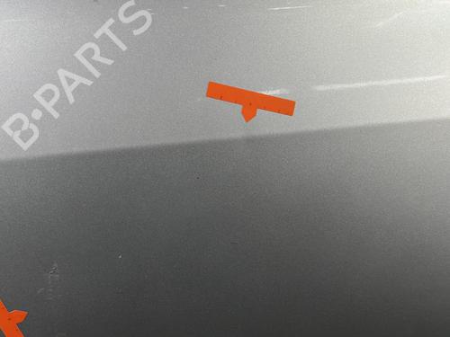 Left front door RENAULT SCÉNIC II (JM0/1_) 1.5 dCi (JM1E, JM16) | BP28281720C2 